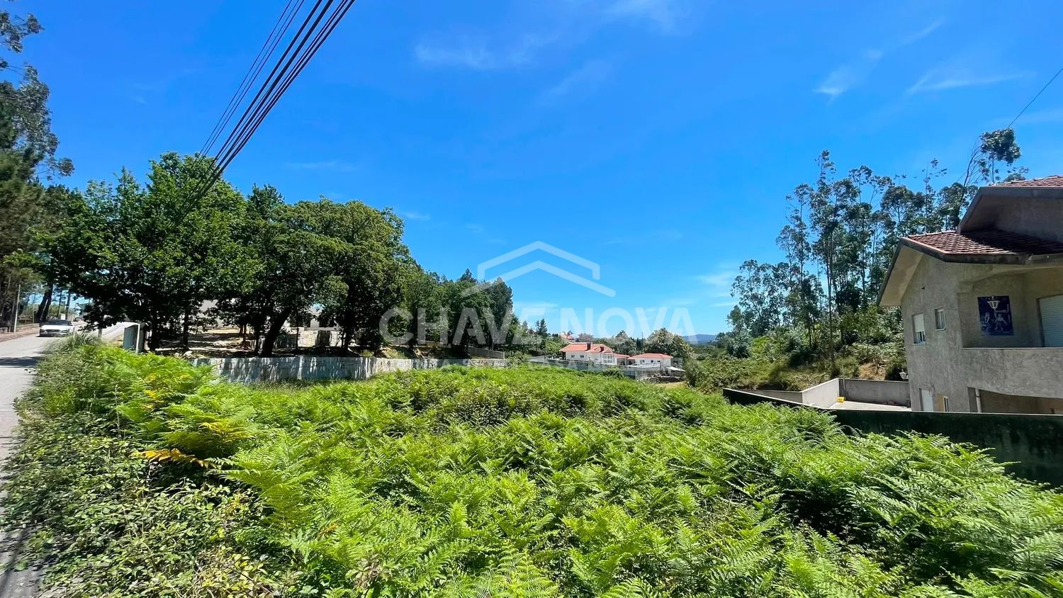 Terreno com Elevado Potencial de Construção em Fiães